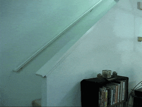 Милые и забавные котики в формате GIF
