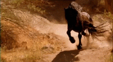Грациозные лошади в формате GIF