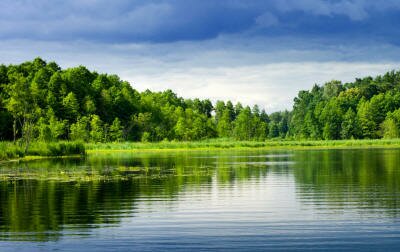 Живые картинки лесных озер и водоемов