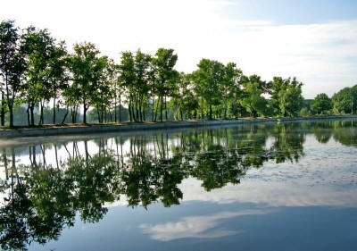 Живые картинки лесных озер и водоемов