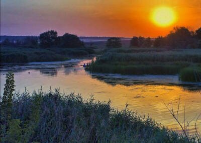 Летняя природа в анимированных картинках