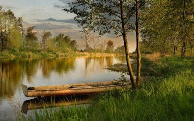 Живые картинки лесных озер и водоемов