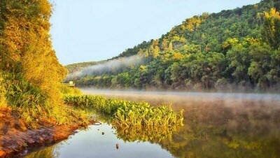 Природа гиф с бегущей водой и реками