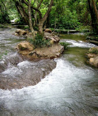 Природа гиф с бегущей водой и реками