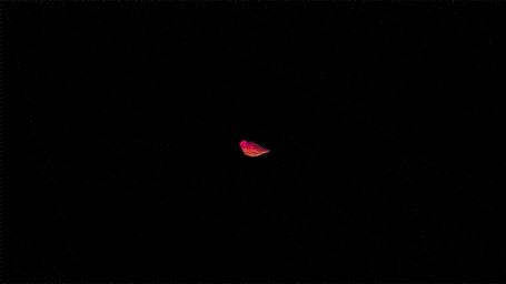 Креативные дизайнерские GIF-анимации