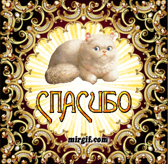 Картинки со словами благодарности