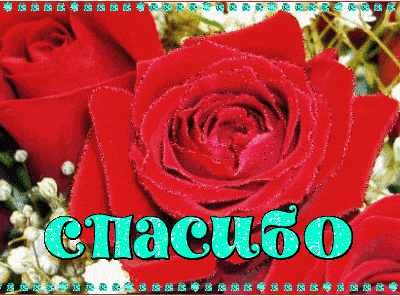 Анимированные блестящие надписи «Спасибо»