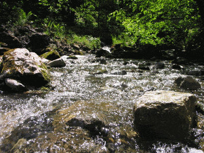 Красивая анимация воды и морских волн