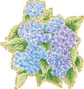 голубые цветы