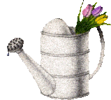 лейка