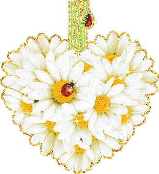 Сердце из ромашек