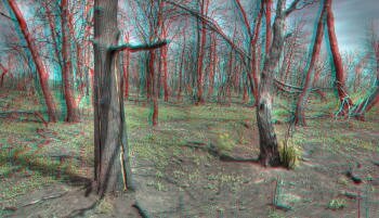 Объемные 3D изображения и компьютерная графика