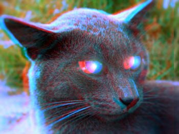 Объемные 3D изображения и компьютерная графика
