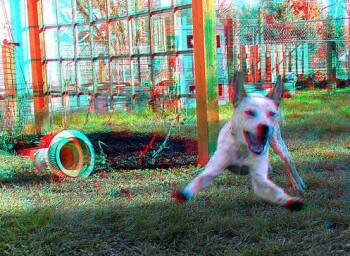 Объемные 3D анимации на рабочий стол