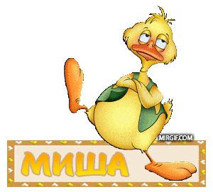 Миша