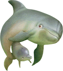 анимация дельфины