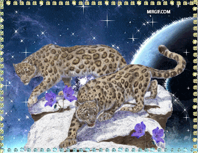 Большие кошки в glitter-анимации