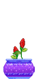 Цветы в формате коротких GIF