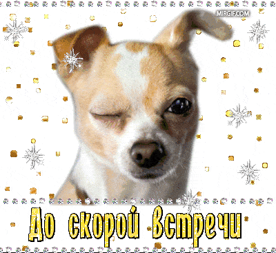 Эстетичные анимированные надписи