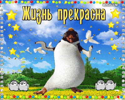 жизнь прекрасна