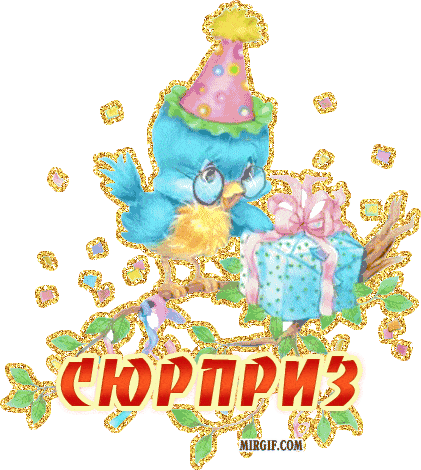 сюрприз