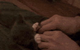Смешные приколы в формате GIF