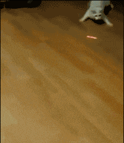 Смешные приколы в формате GIF