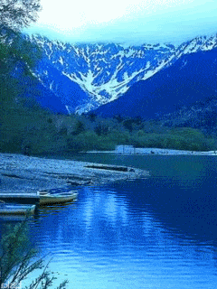 Живые картинки лесных озер и водоемов