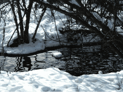 Природа гиф с бегущей водой и реками
