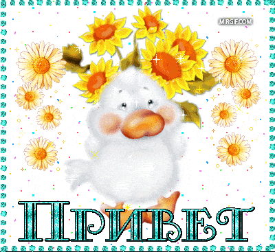 Приветики на гифках для общения