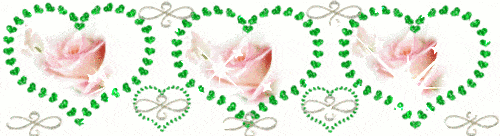 розовые розы