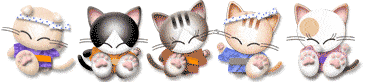 котики