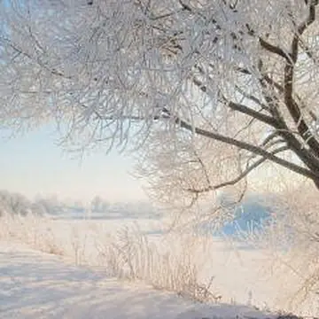 Природа гиф с зимней атмосферой