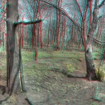 Объемные 3D изображения и компьютерная графика