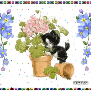 Двигающиеся гифки с котами и кошками