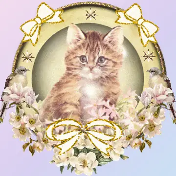 Милые и забавные котики в формате GIF