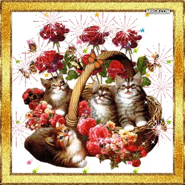 Сияющие котята и анимированные кошки