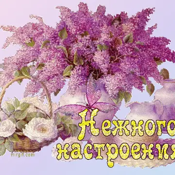Эстетичные анимированные надписи