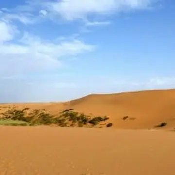 Пустынные ландшафты в анимации