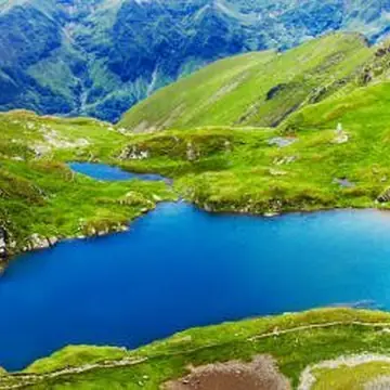 Живые картинки лесных озер и водоемов