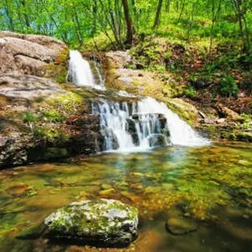 Природа гиф с бегущей водой и реками