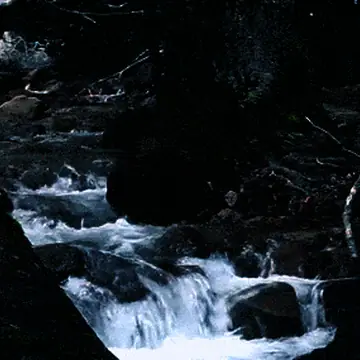 Картинки нового поколения в формате GIF