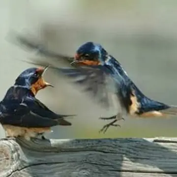 Самые смешные анимированные кадры