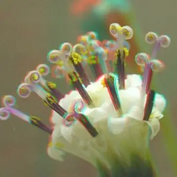 Объемные 3D картинки с эффектом глубины
